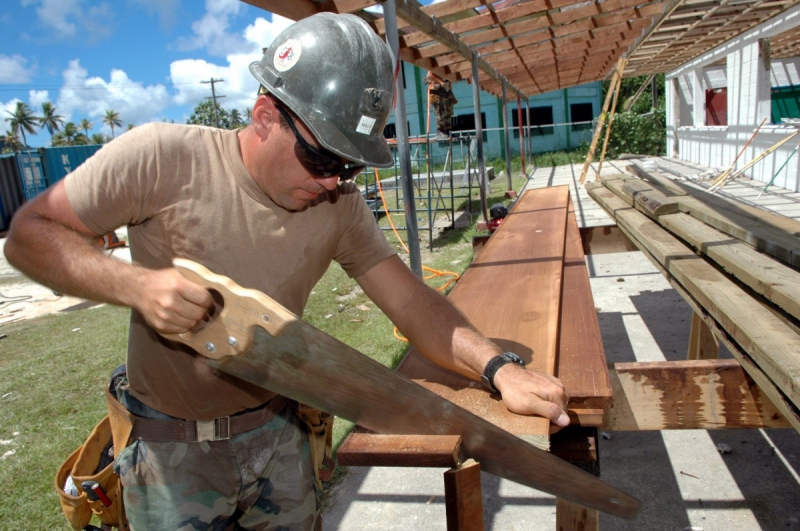 charpentier-LA BOLLENE VESUBIE-min_worker_construction_building_carpenter_male_job_build_helmet-893290